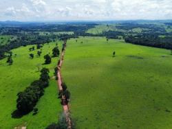 #2683 - Fazenda para Venda em Palmeiras de Goiás - GO