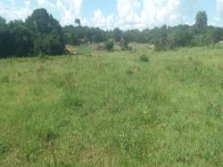 Venda em zona rural - Arenópolis