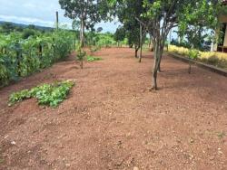 #2718 - Fazenda para Venda em Confresa - MT