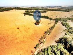 #2750 - Fazenda para Venda em Bela Vista de Goiás - GO