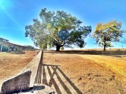 Venda em zona rural - Bela Vista de Goiás