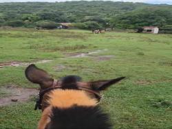 #2751 - Fazenda para Venda em Montes Claros de Goiás - GO