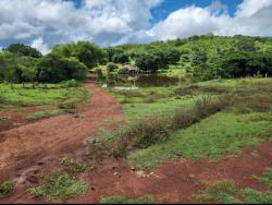 Venda em zona rural - Montes Claros de Goiás