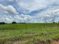 #2787 - Fazenda para Venda em Nova Xavantina - MT