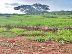 #2793 - Chácara para Venda em Bom Jardim de Goiás - GO