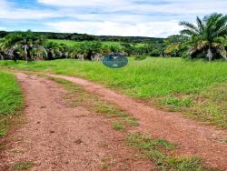 Venda em zona rural - Diorama