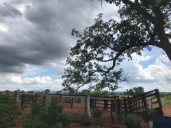 #2806 - Fazenda para Venda em Bom Jardim de Goiás - GO