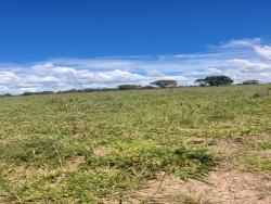 #2832 - Fazenda para Venda em Jaraguá - GO