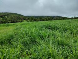 #2882 - Fazenda para Venda em Bom Jardim de Goiás - GO