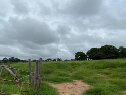 #2883 - Fazenda para Venda em Torixoréu - MT