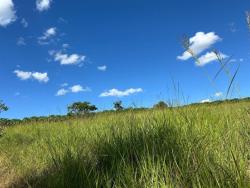 #2888 - Chácara para Venda em Bela Vista de Goiás - GO