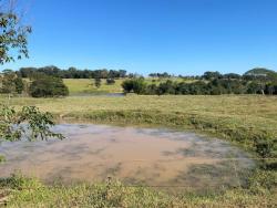 Venda em zona rural - Taquaral de Goiás