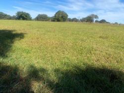 Venda em zona rural - Itaguari