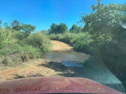 #2922 - Fazenda para Venda em Piracanjuba - GO