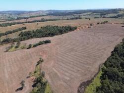 #2922 - Fazenda para Venda em Piracanjuba - GO