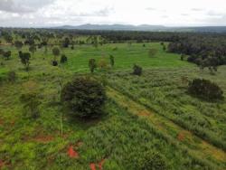 #2932 - Fazenda para Venda em Morada Nova de Minas - MG