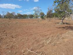 #2944 - Fazenda para Venda em Montes Claros de Goiás - GO