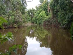 Venda em zona rural - Jaraguá