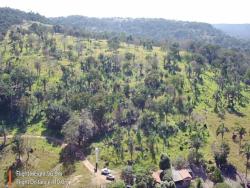 #2963 - Fazenda para Venda em Ivolândia - GO