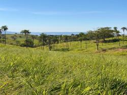 #2976 - Fazenda para Venda em São Luís de Montes Belos - GO