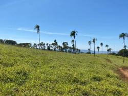 #2976 - Fazenda para Venda em São Luís de Montes Belos - GO