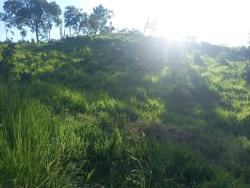 Venda em zona rural - Itapuranga