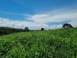 Venda em zona rural - Itapuranga