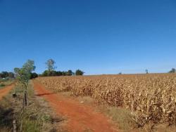 Venda em zona rural - Itaberaí