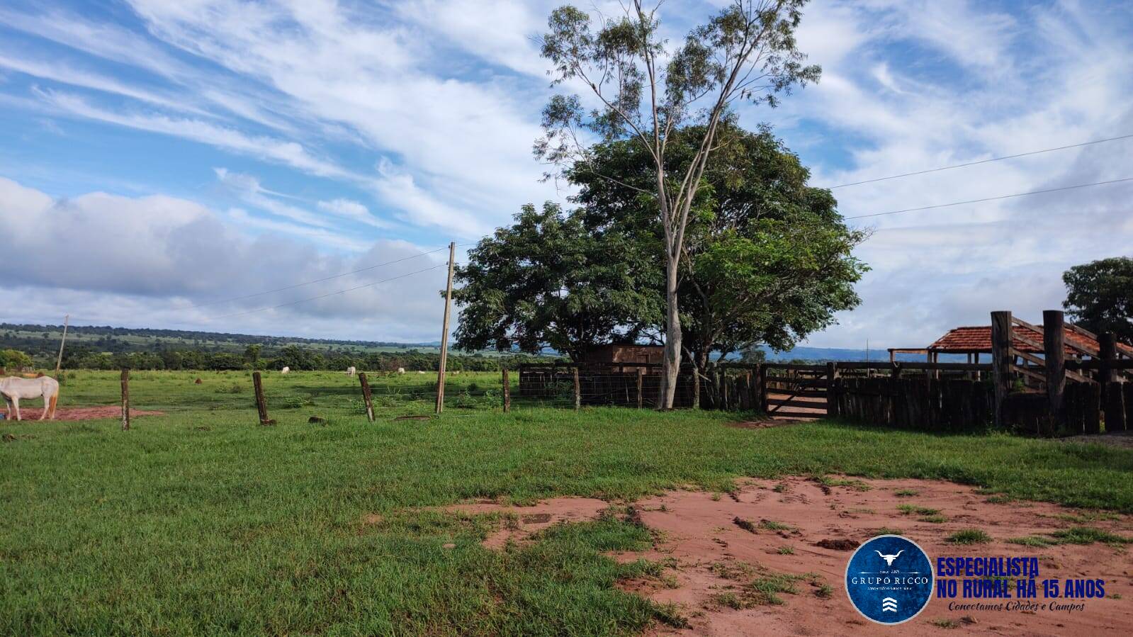 Terreno à venda, 103m² - Foto 4