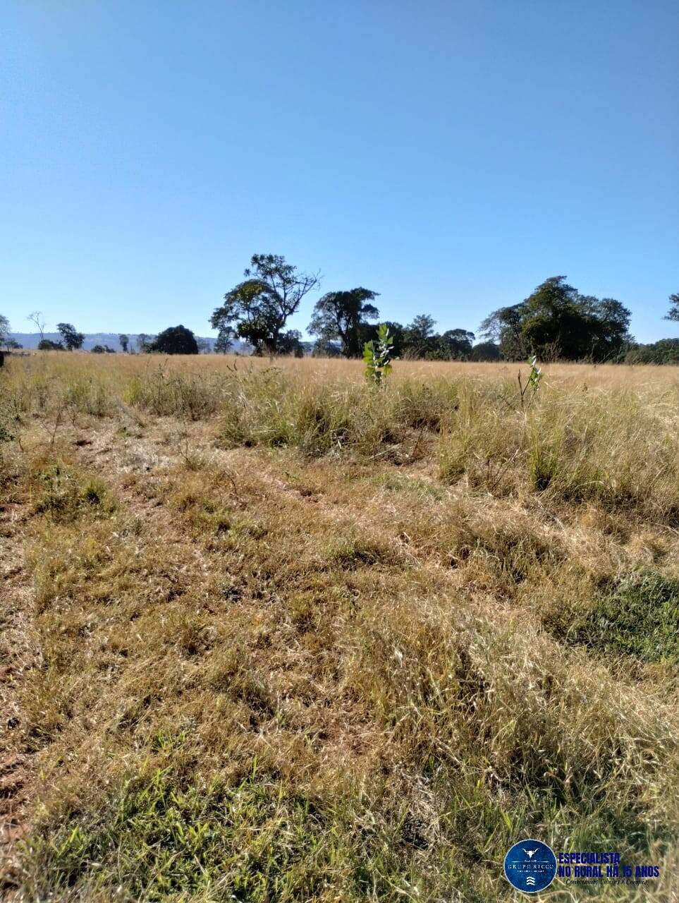 Terreno à venda, 103m² - Foto 6