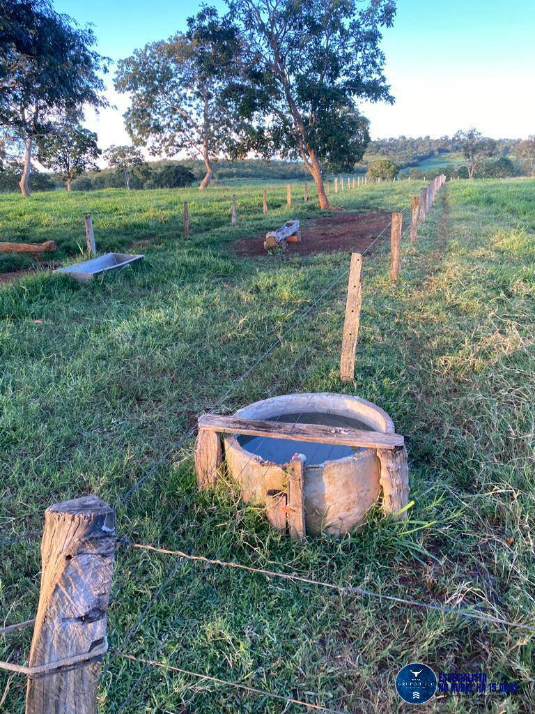 Terreno à venda, 13m² - Foto 8