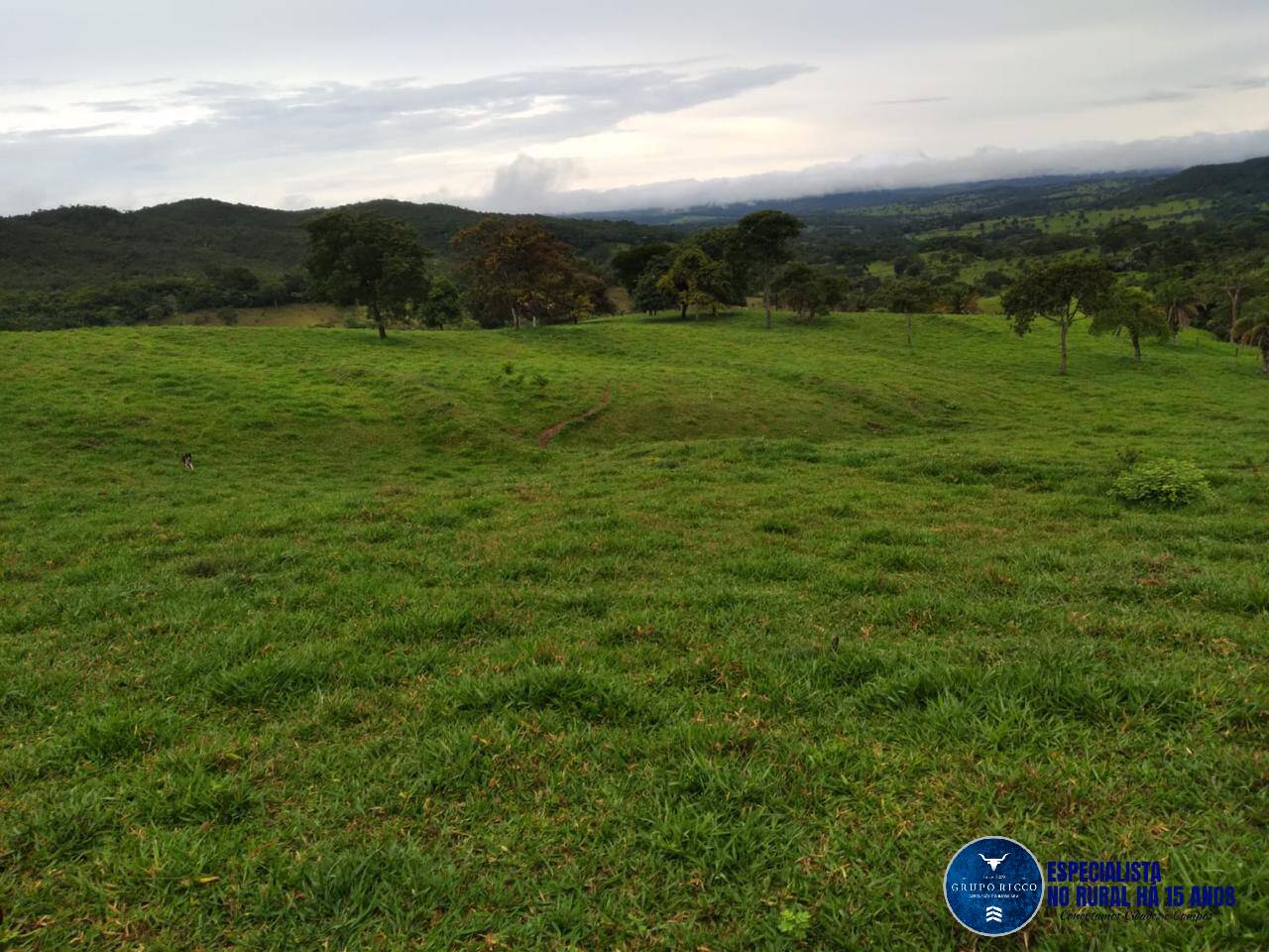 Terreno à venda, 26m² - Foto 3