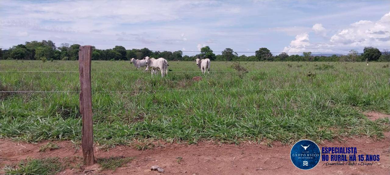 Terreno à venda, 384m² - Foto 6