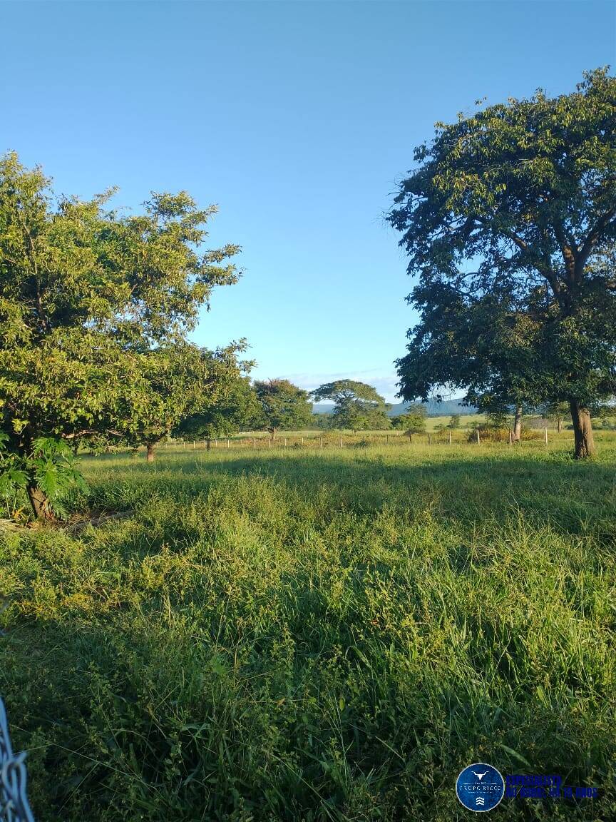 Terreno à venda, 10m² - Foto 1