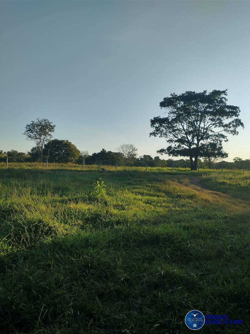 Terreno à venda, 10m² - Foto 7