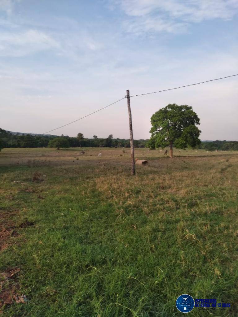 Terreno à venda, 30m² - Foto 3