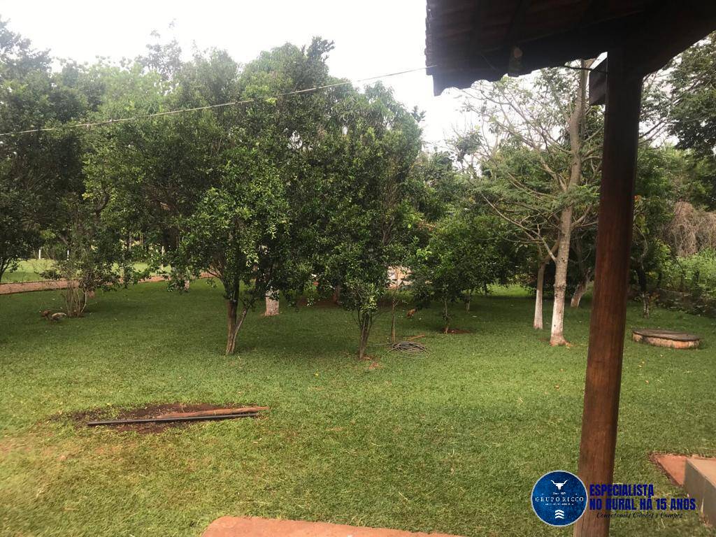 Fazenda à venda com 3 quartos, 3000m² - Foto 11