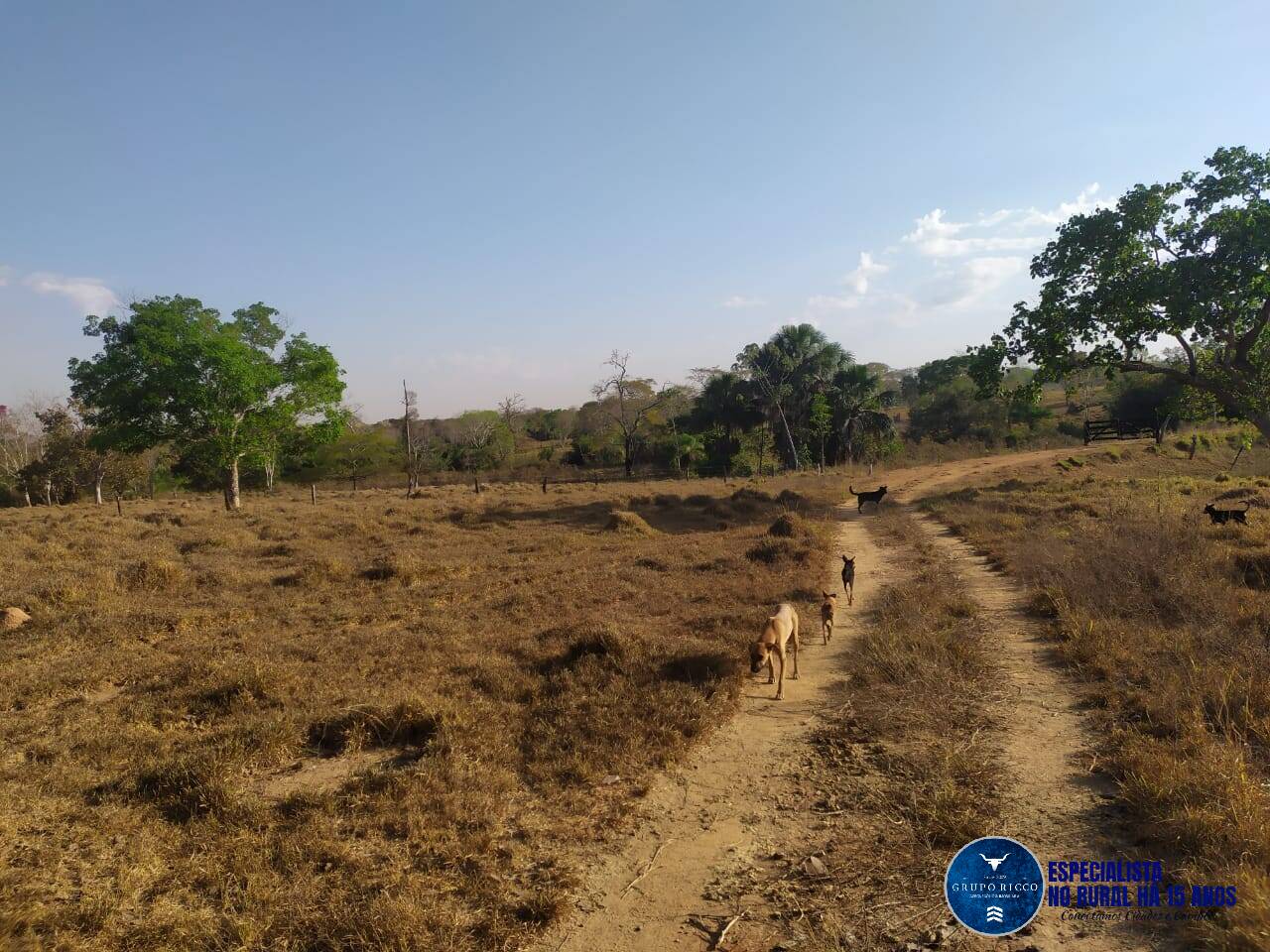 Terreno à venda, 80m² - Foto 4