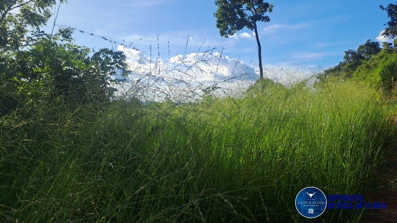 Terreno à venda, 290m² - Foto 2