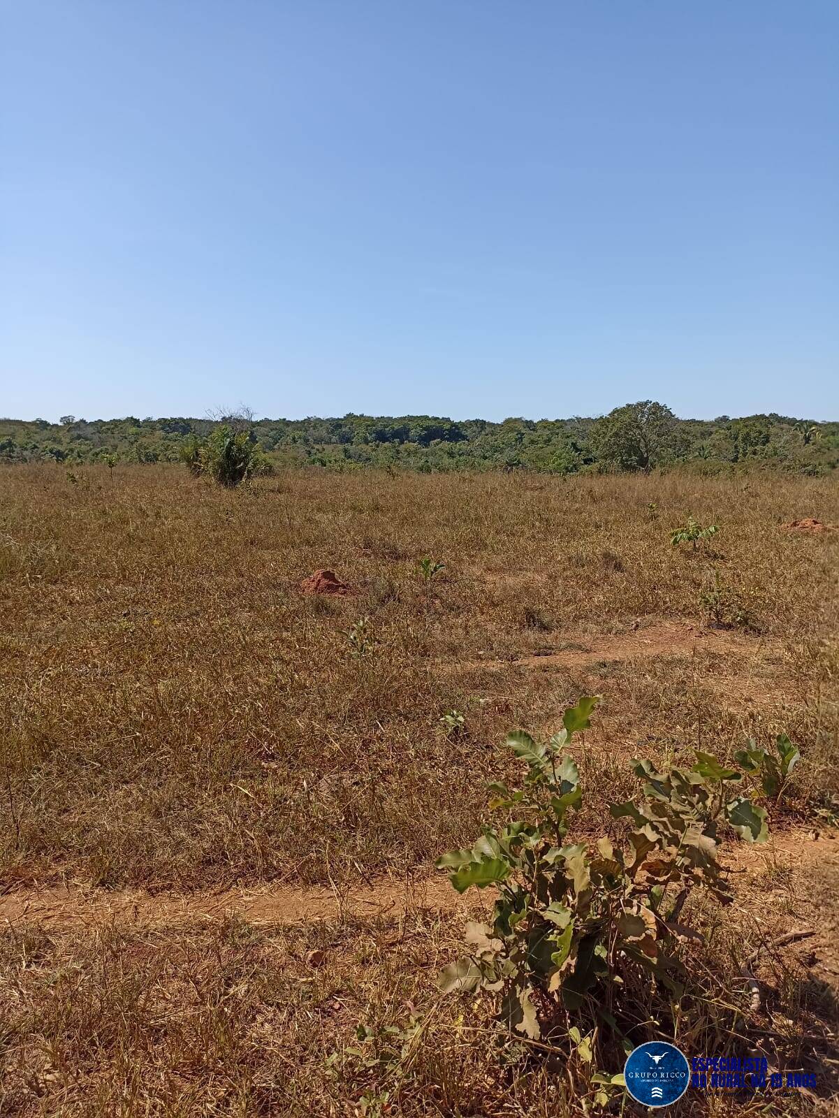 Terreno à venda, 50m² - Foto 4