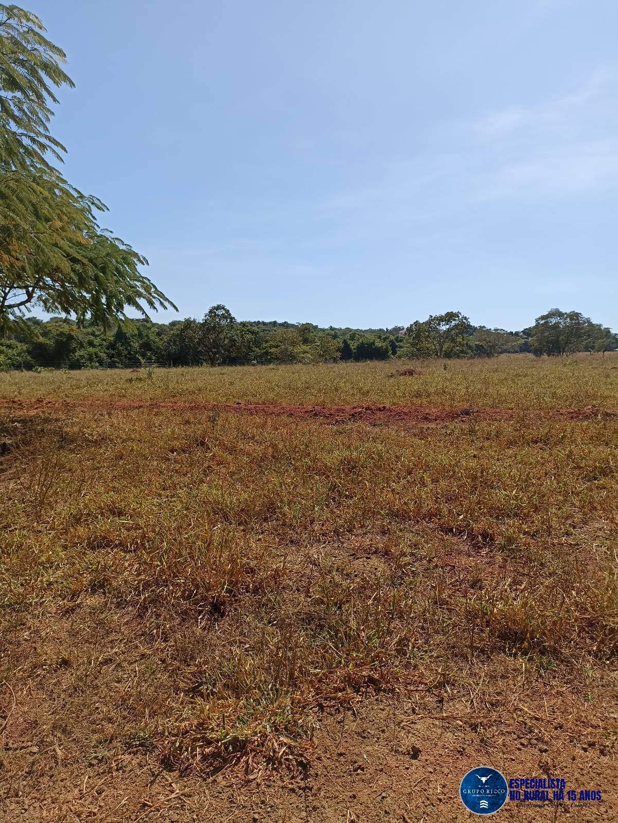 Terreno à venda, 50m² - Foto 6