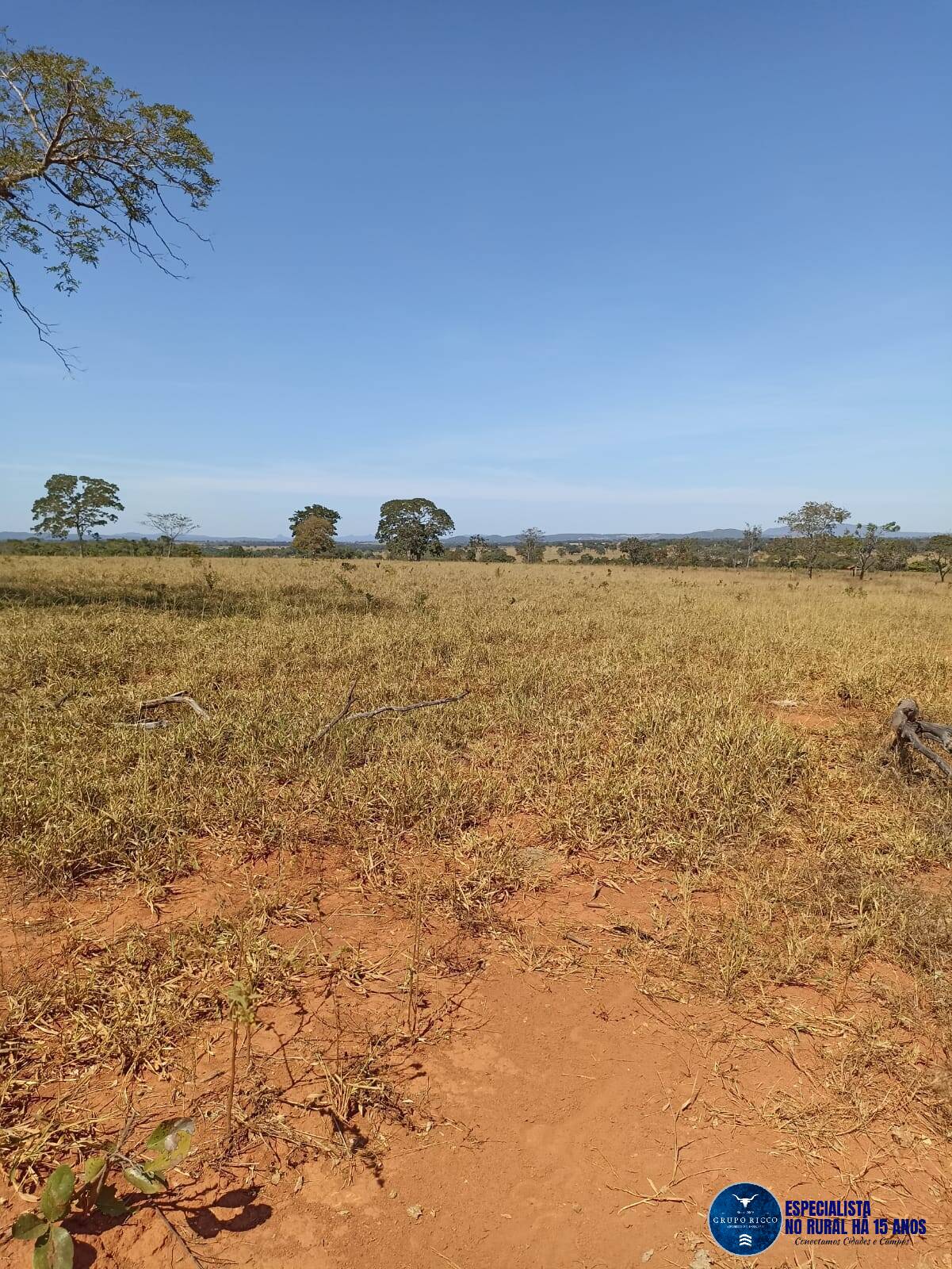 Terreno à venda, 50m² - Foto 1