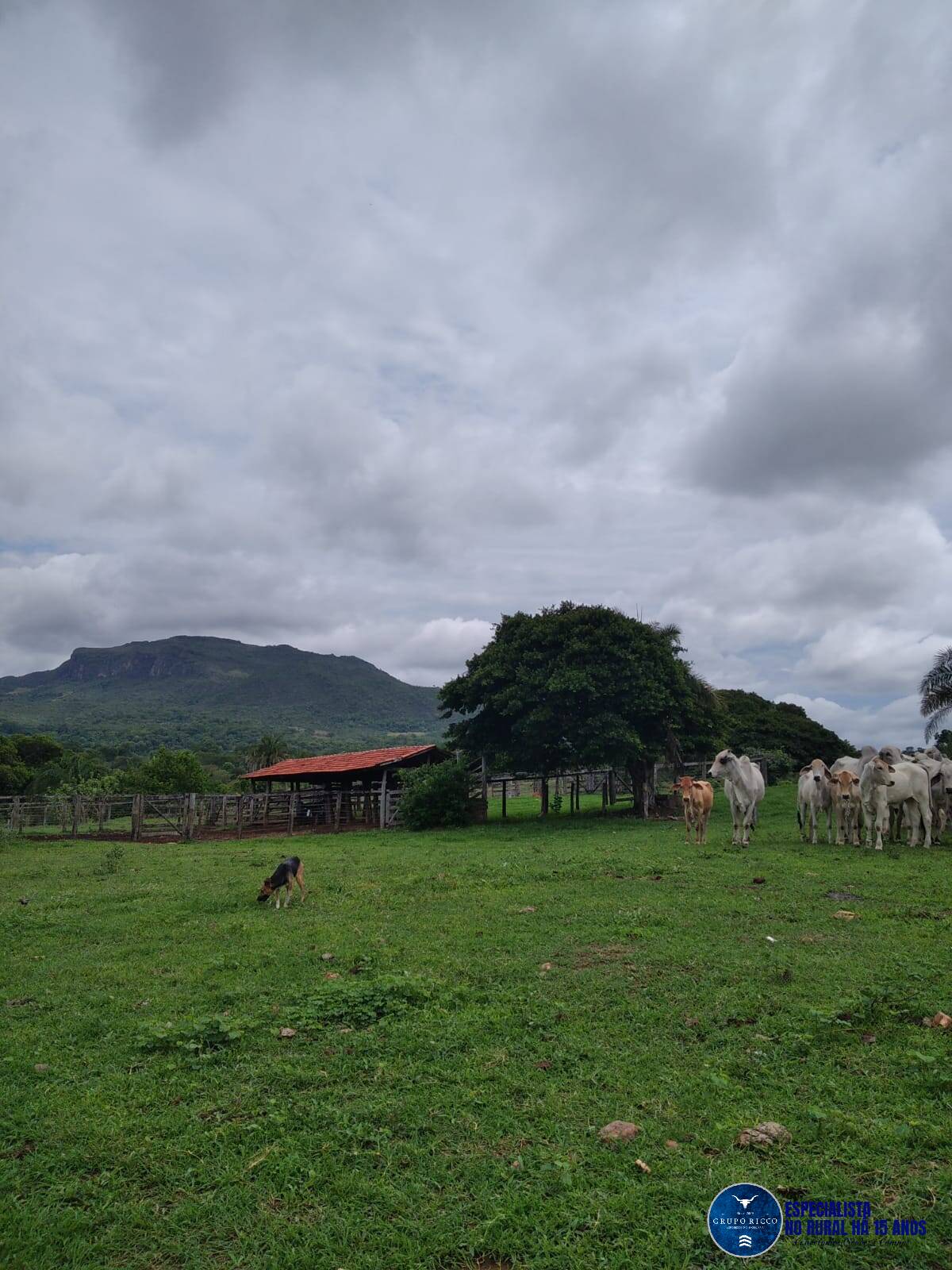 Terreno à venda, 30m² - Foto 1