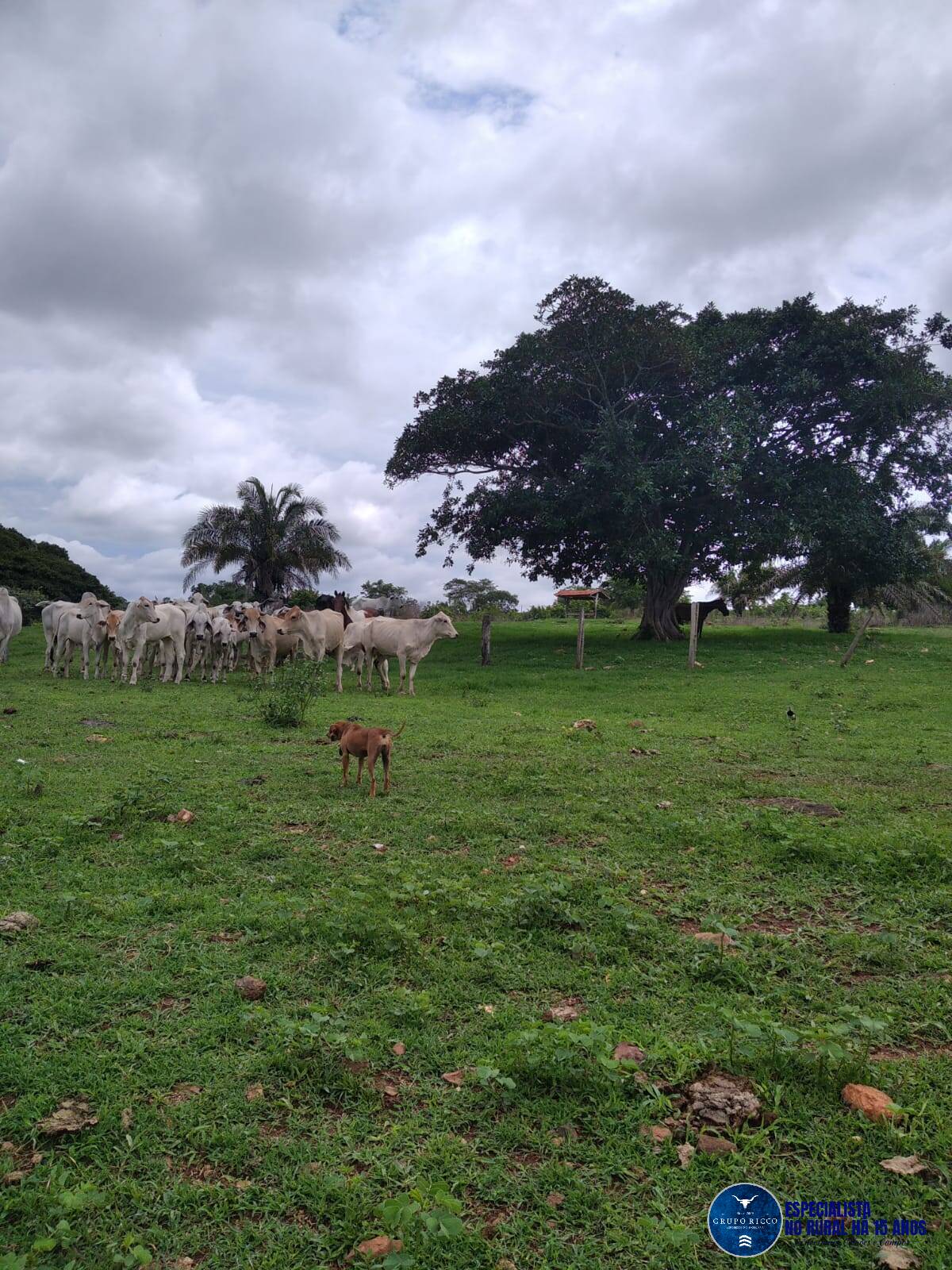 Terreno à venda, 30m² - Foto 3