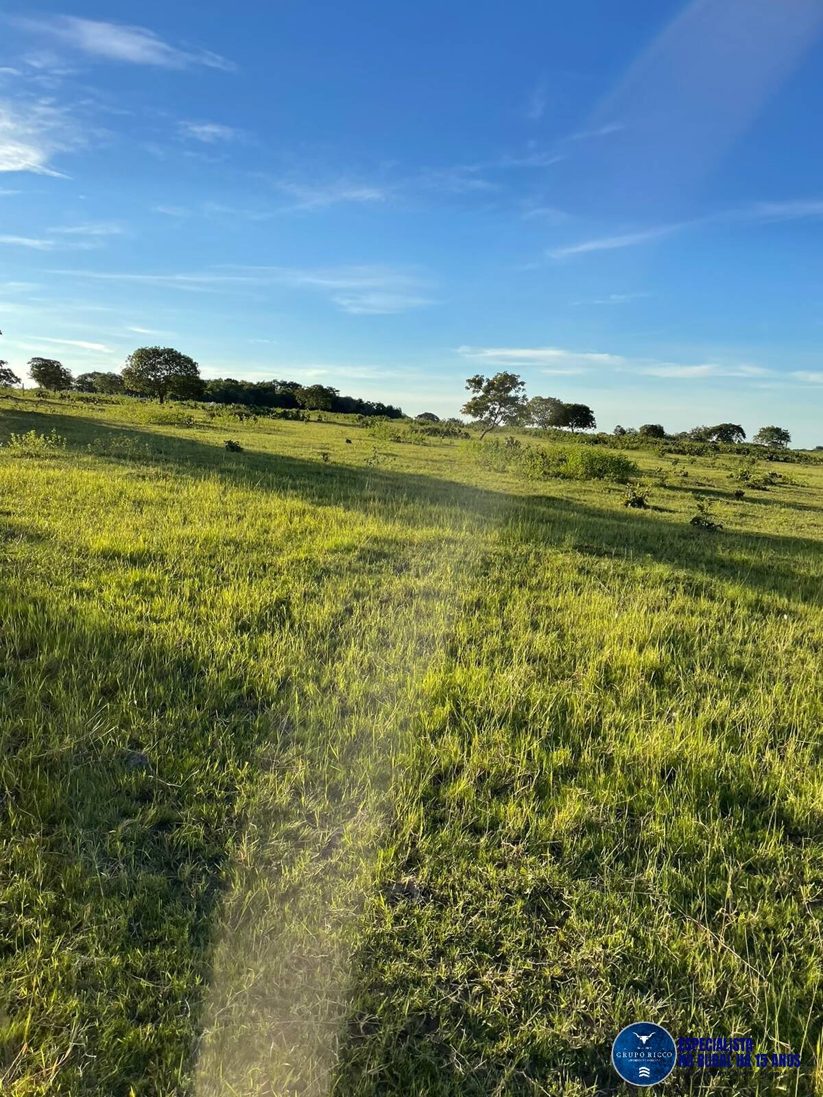 Terreno à venda, 136m² - Foto 2