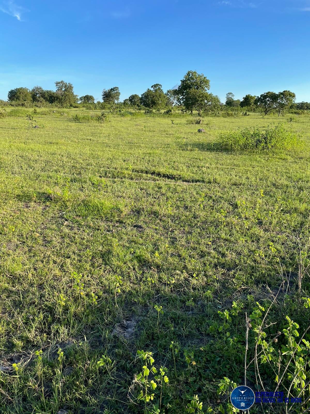 Terreno à venda, 136m² - Foto 4