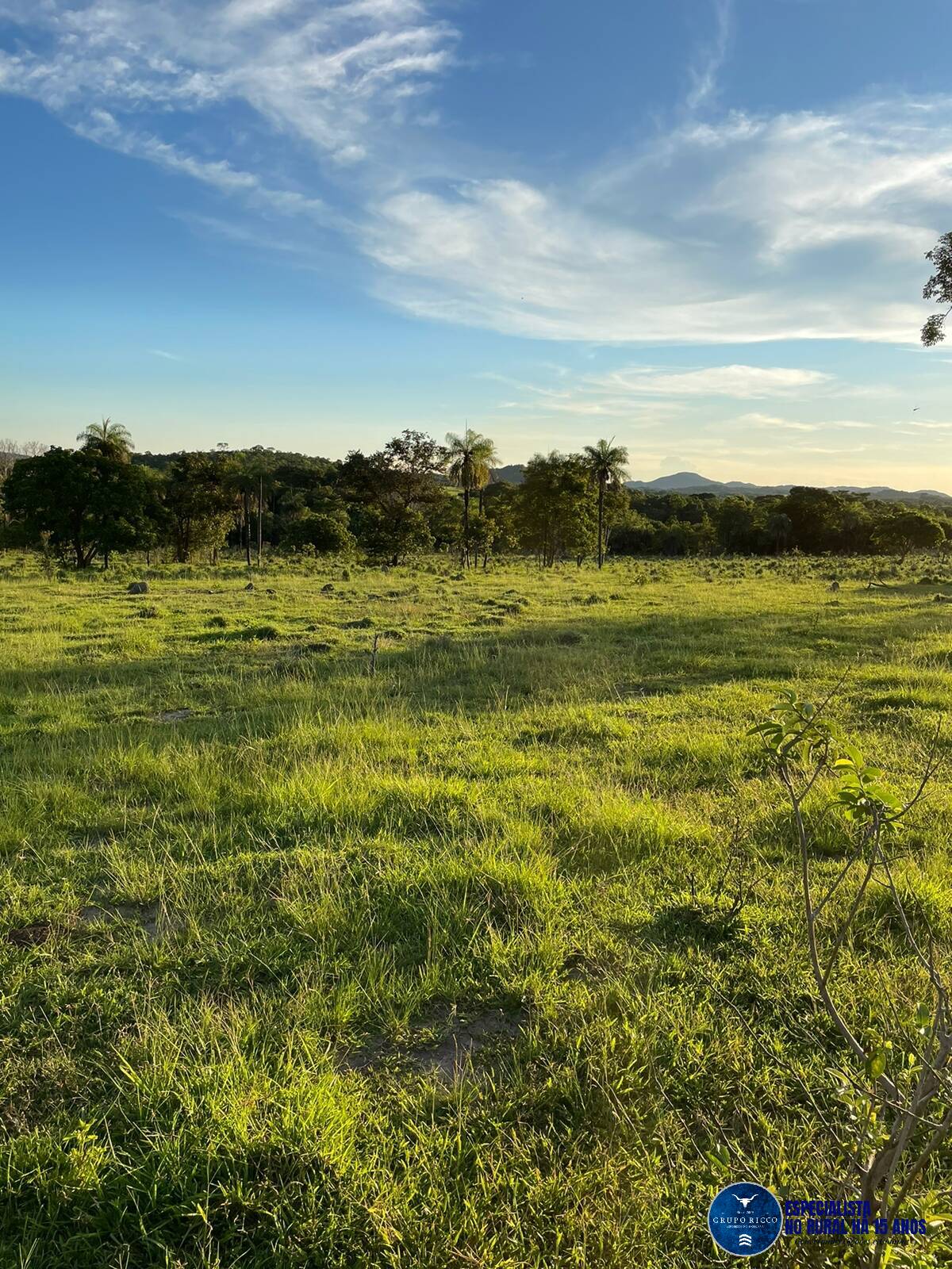 Terreno à venda, 136m² - Foto 6