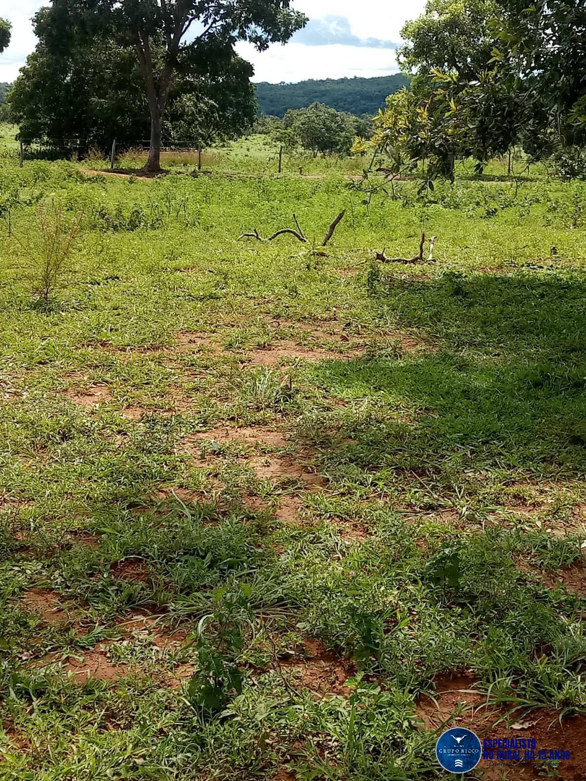 Terreno à venda, 61m² - Foto 7