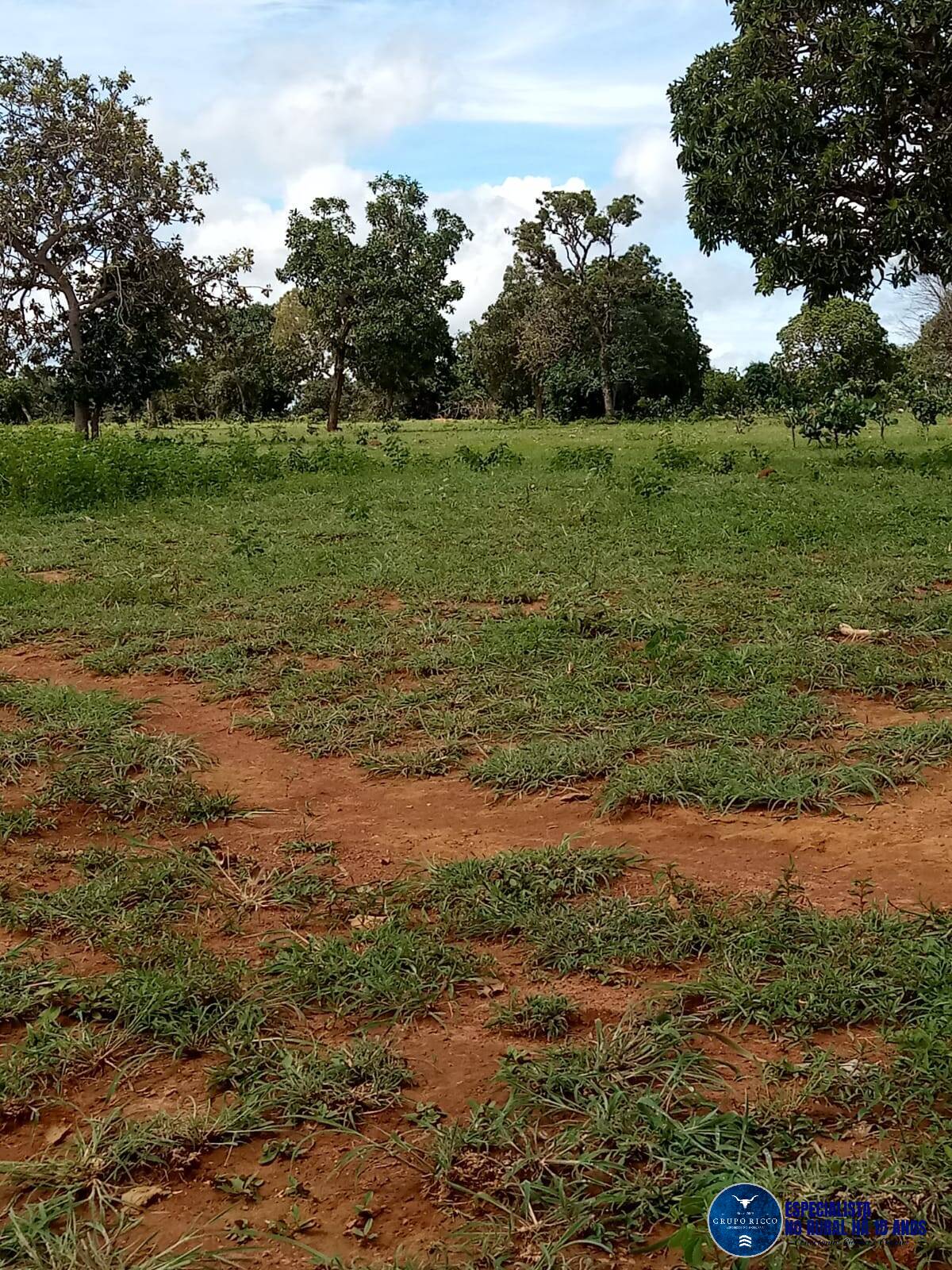 Terreno à venda, 61m² - Foto 11