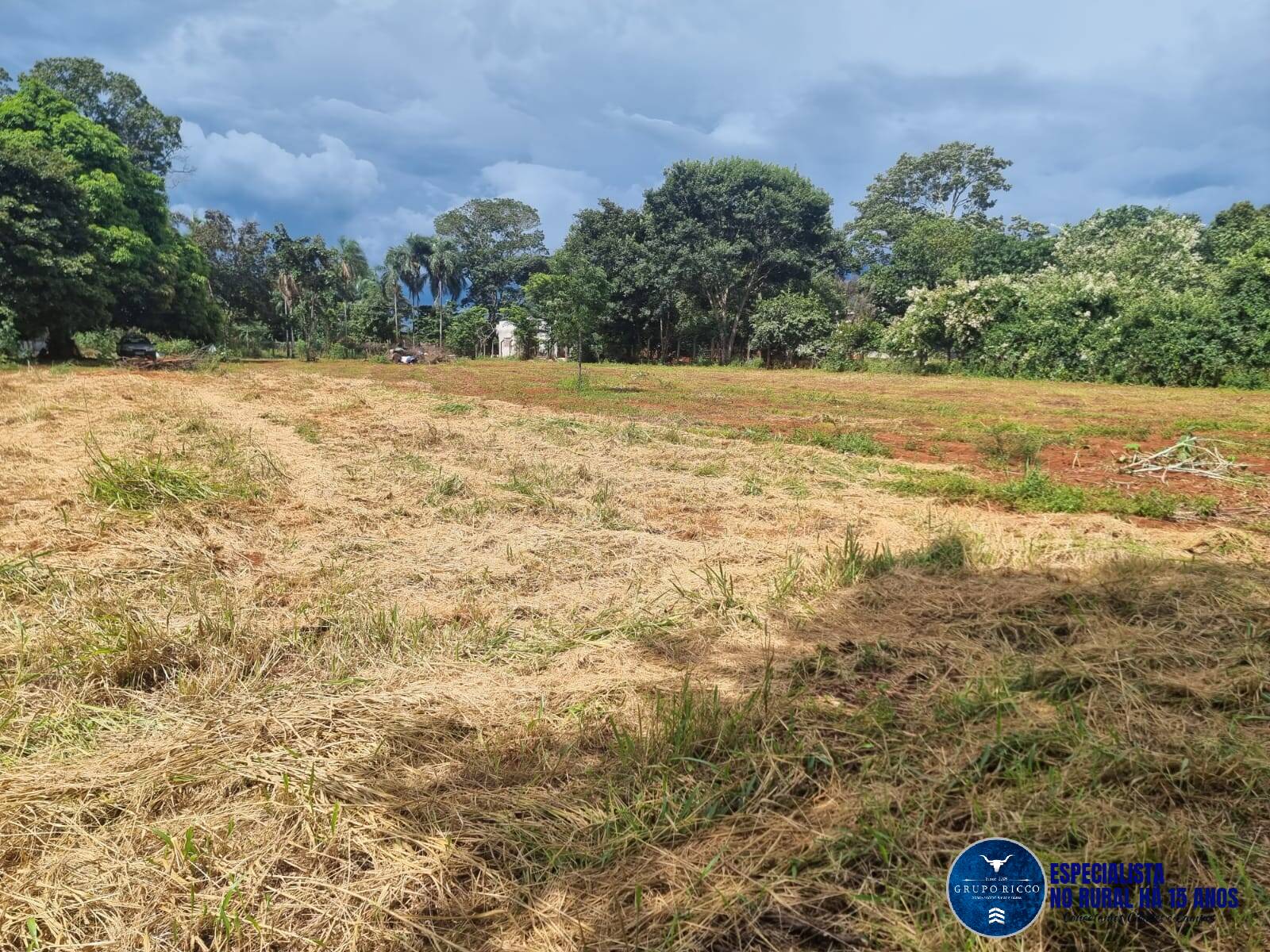 Terreno à venda, 4000m² - Foto 1